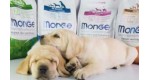 Особенности правильного выбора корма для собак Monge
